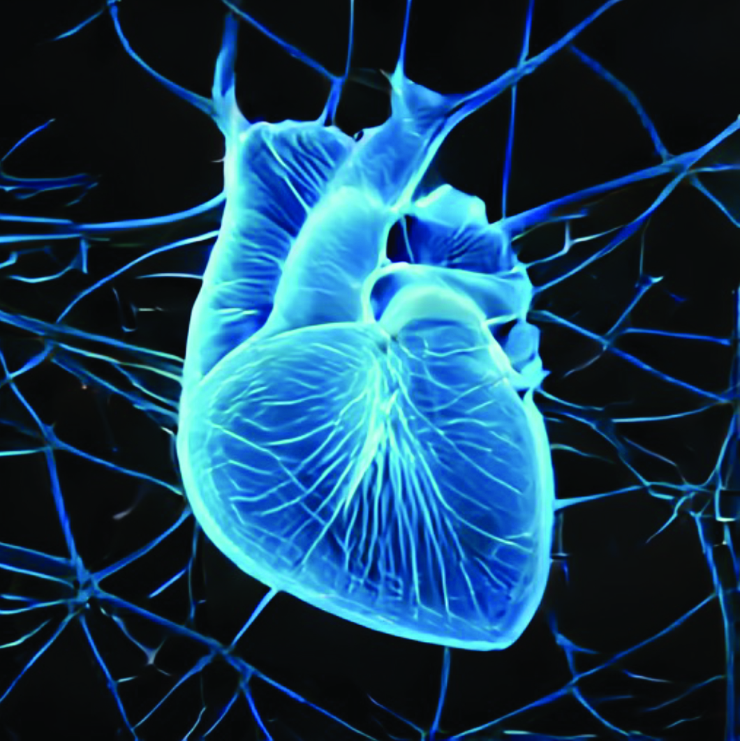 Comentario Editorial: Inteligencia Artificial en Cardiología